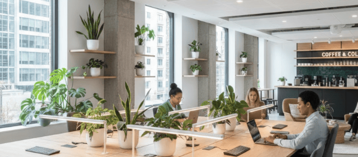 coworking desk space